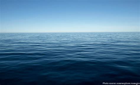 Interesting Facts About The Pacific Ocean Just Fun Facts