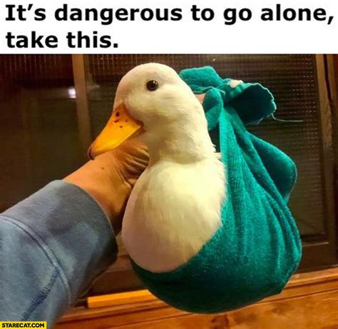 Its Dangerous To Go Alone Take This Duck