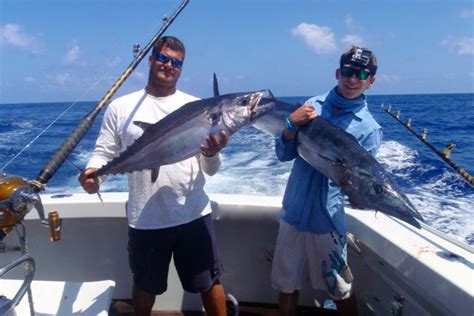 Sportfishing Cairns Cairns Fishing Charters Fishing Cairns