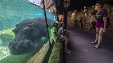 Milwaukee County Zoo Preps New Strategic Plan Milwaukee Business Journal