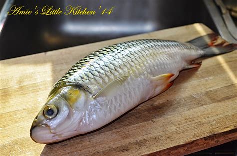 Cara membuat dan meracik umpan ikan mas yang paling jitu sederhana lihat di bawah ini: Resepi ringkas dan sedap: Pindang Ikan Jelawat - Koleksi ...
