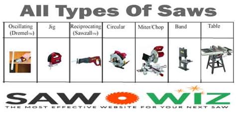 Types Of Saws Pictures Saw Palmetto For Bph