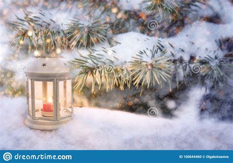 Christmas Lantern With Burning Candle Shines On Snow And Spruce