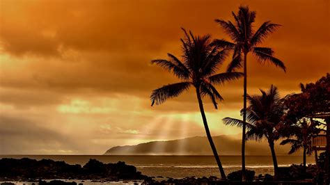 Hawaii Sunset Wallpapers Wallpapersafari