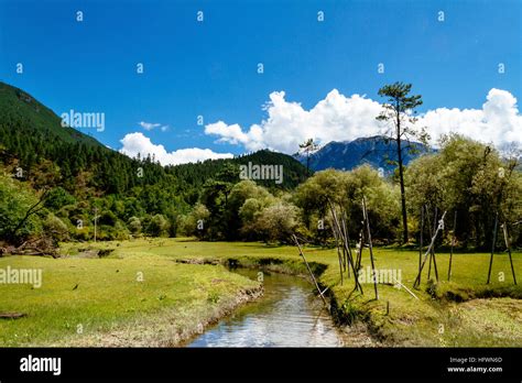 The Beautiful View Of The Forest In Tibet Stock Photo Alamy