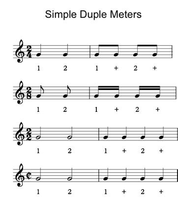 (cut time, or alla breve in time signature. Duple Meter: Definition & Example - Video & Lesson Transcript | Study.com