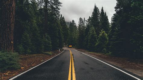 Road Forest 1920x1080 Wallpaper