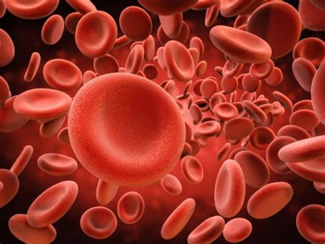 لماذا يختلف عدد كريات الدم الحمراء في الذكور عن الاناث