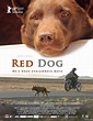 [红犬历险记]Red.Dog.2011.1080p.BluRay.x264-aAF[无字幕/7.6G]-HDSay高清乐园