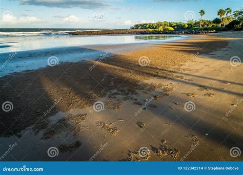 Shadows On The Beach At Sunset In Australia Stock Photo Image Of