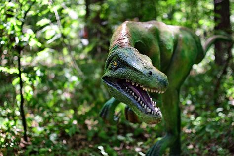 Dinosaurus Prehistorický Dino Fotografie Zdarma Na Pixabay