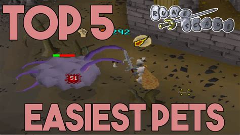 Top 5 Easiest Pets To Get In Osrs Youtube