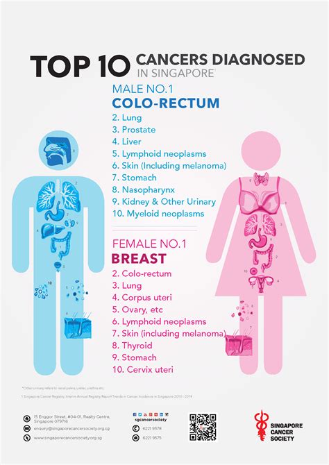 Quais são os cânceres mais comuns em mulheres jshot info
