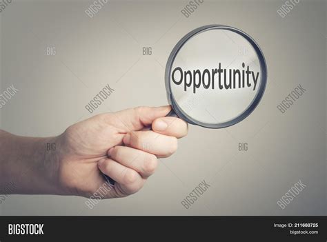 Searching Opportunity Image And Photo Free Trial Bigstock