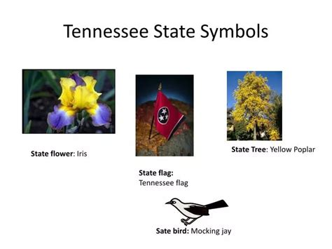 Ppt Tennessee State Symbols Powerpoint Presentation Free Download