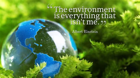 Environmental ethics is an integrl part of the environment studies as it establishes relationship between the earth and humans. Environmental Quotes High Definition Wallpaper 14253 - Baltana