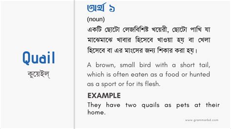 The term binge means that you excessively do something. Quail Meaning in Bengali - Quail এর বাংলা অর্থ | Grammar Hub