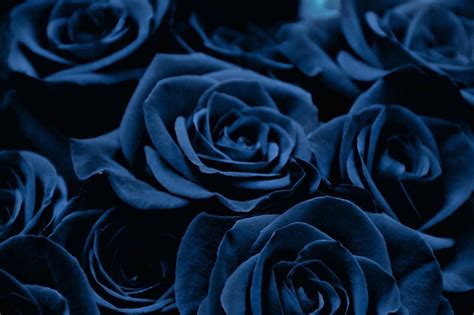 Dark Blue Flower Aesthetic Wallpapers Wallpaper Cave