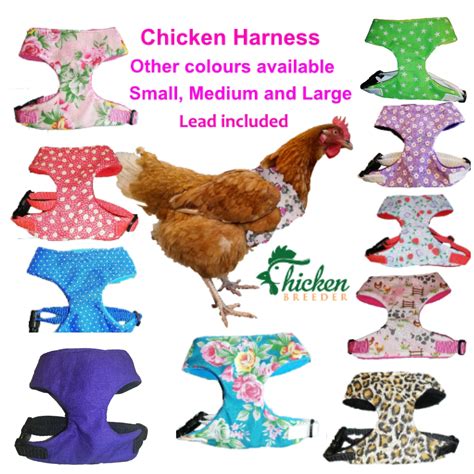Chicken Harness Hen Harness Duck Harness Harnesses For Etsy Uk