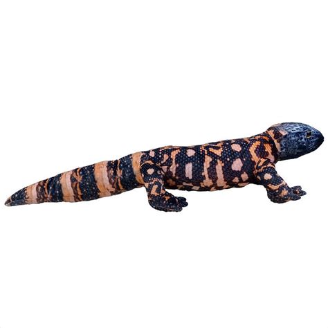 Gila Monster Stuffed Toy Plushie 25 Reptilesrus