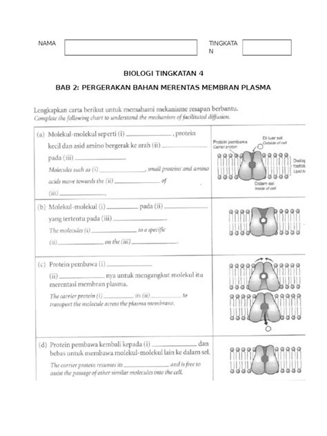 Latihan Biologi Tingkatan 4 (Bab 3)  PDF