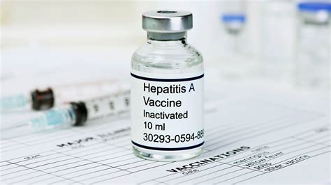 Zuckerman jn non response to hepatitis. Hepatitis B | Medscape