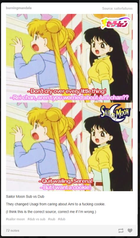 Dubbing In The 90s Sailor Moon Know Your Meme