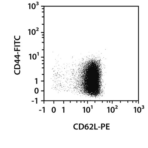 Cd4 T Cells Mouse Miltenyi Biotec Usa