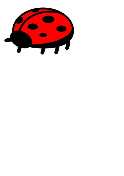 Insect Ladybird Red Black Ladybug Transparent Background Png Clipart