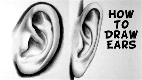 How To Draw A Realistic Ear Youtube
