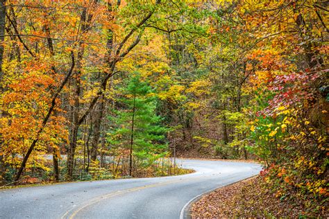 12 Best Places To Experience Fall In Georgia Southern Trippers