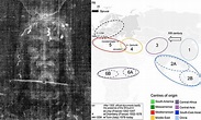Study reveals the Shroud of Turin contains DNA from plants found all ...