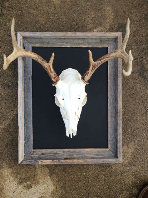 Gray Painted Deer Skull Ideas Gallosdesigns