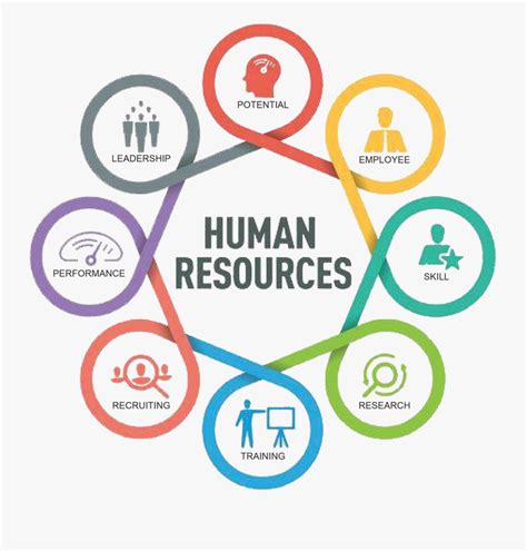 Transparent Human Resources Png Human Resource Hr Logo Free