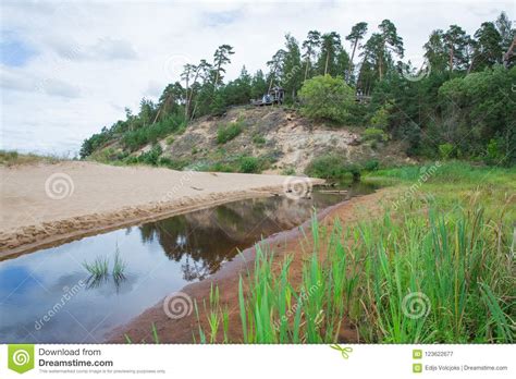 Rocks And River Sea Green Grass Trees And Sun Nature At Baltic Sea