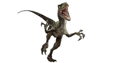 1920 x 1080 · png. Jurassic World Velociraptor Wallpaper (82+ images)