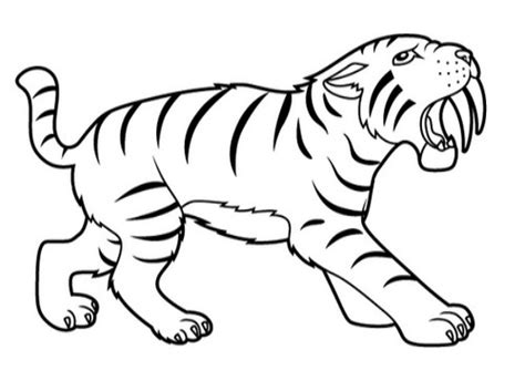 Desenhos De Tigres Para Imprimir