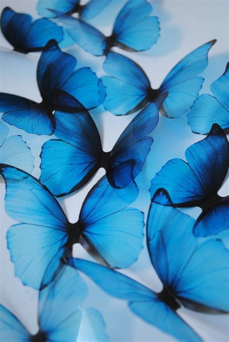 Blue Rainbow Butterflies 3d Plastic Butterflies Ombre Blue Etsy