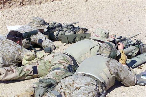 Us Marine Corps Usmc Scout Snipers Aim Their M40a1 Sniper Rifles Down