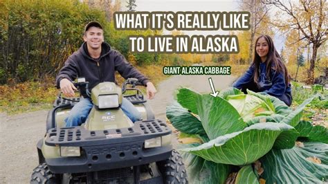 A Real Day In The Life Living In Alaska Fall 2020 Youtube