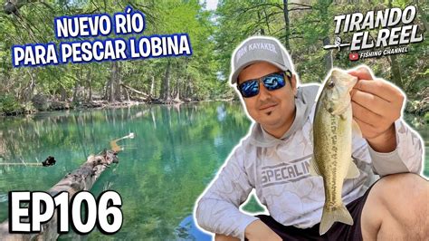 Pesca De Lobina En Río Youtube