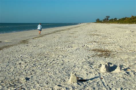 Sanibel Is One Of The Best Shelling Beaches In The World Beaches In