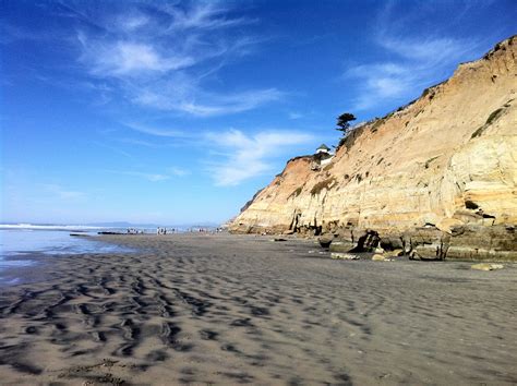 Dreamy Day Del Mar Dog Beach Dog Beach Favorite Places San Diego