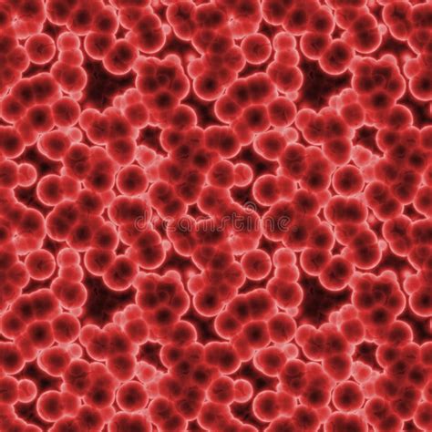 Red Blood Cells Background Stock Photo Image Of Abstract 4337374