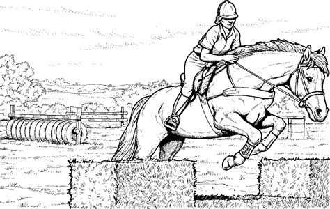 Ausmalbilder, die pferde darstellen, gibt es einige. Ausmalbilder Pferde Springreiten - MalVor