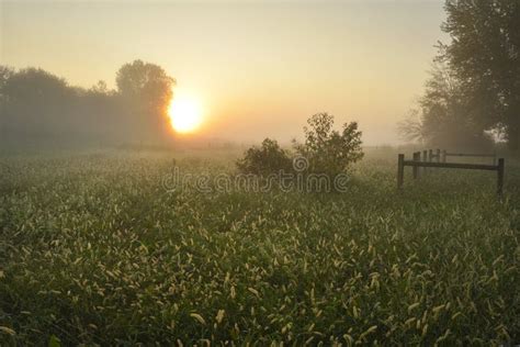 Sunrise On Farm Field Stock Photo Image Of Post Fence 159964734