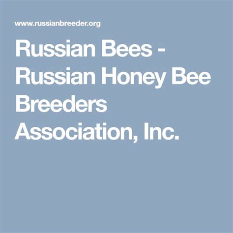 Russian Bees Russian Honey Bee Breeders Association Inc Russian Bee Bee Big Bee