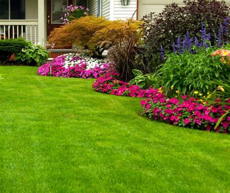 How To Keep Your Lawn Green And Beautiful