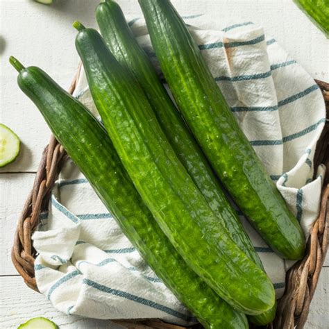 Cucumber Varieties Exploring The World Of Unique Cucumbers Maxipx