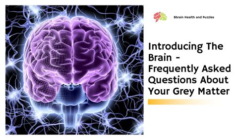 Introducing The Brain Frequently Asked Questions About Your Grey